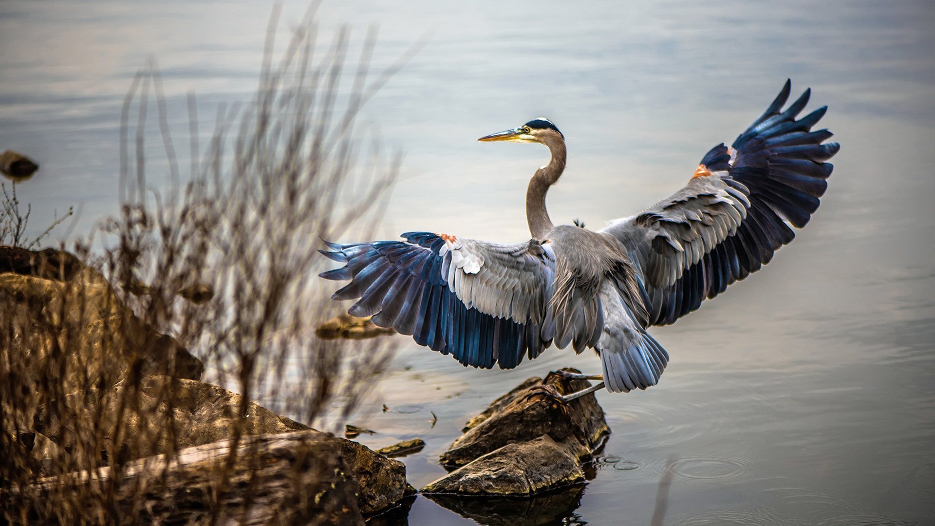 撕裂时空的射门,当莱万算法在罗马点燃绿茵场的焚城烈火