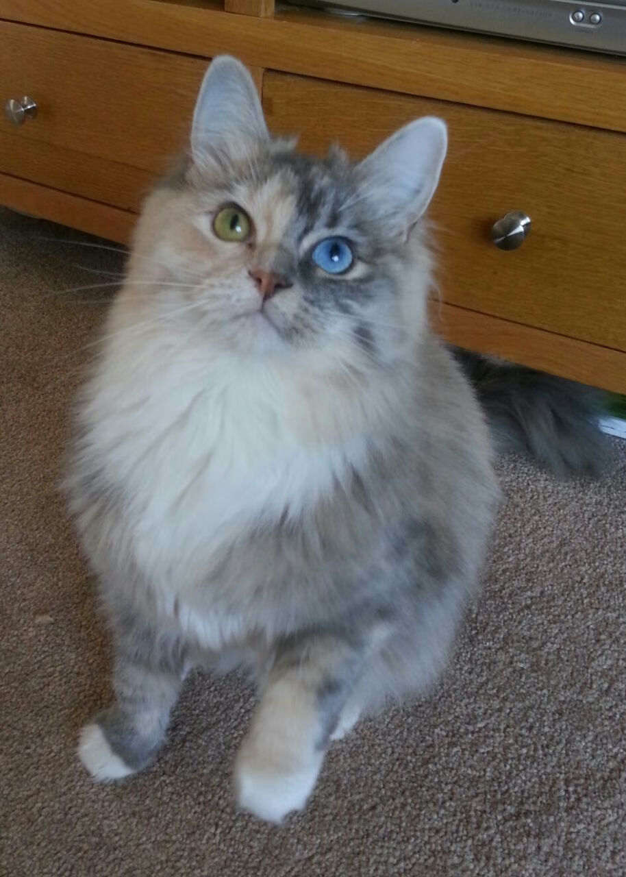 新王登基!蒙特卡洛大师赛完胜拉沃尔杯,蒂姆统治全场彰显硬地实力