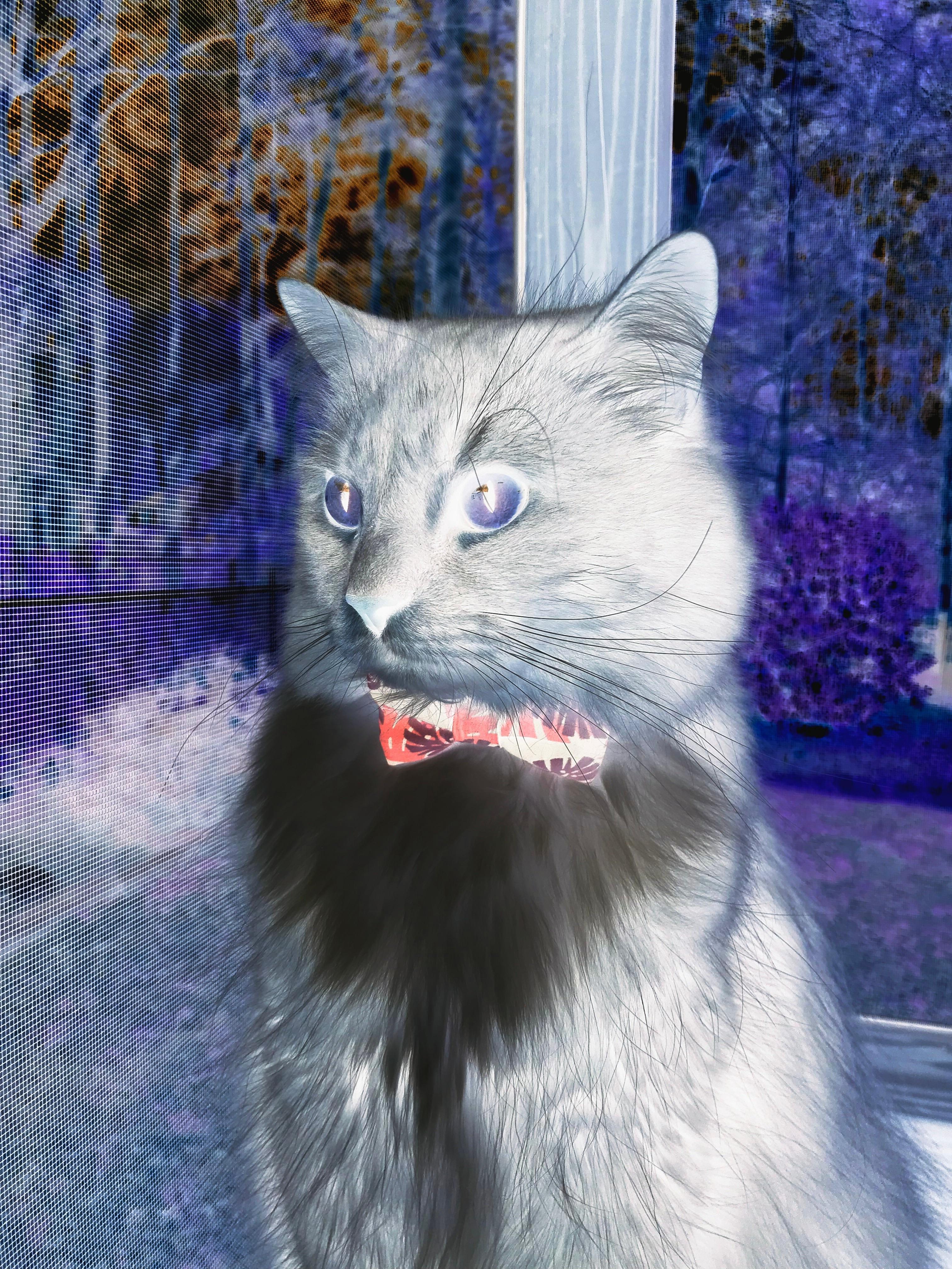 爱游戏在线-奥运资格赛上演史诗一役，罗德里狂造5球，独舞撕裂钢铁防线