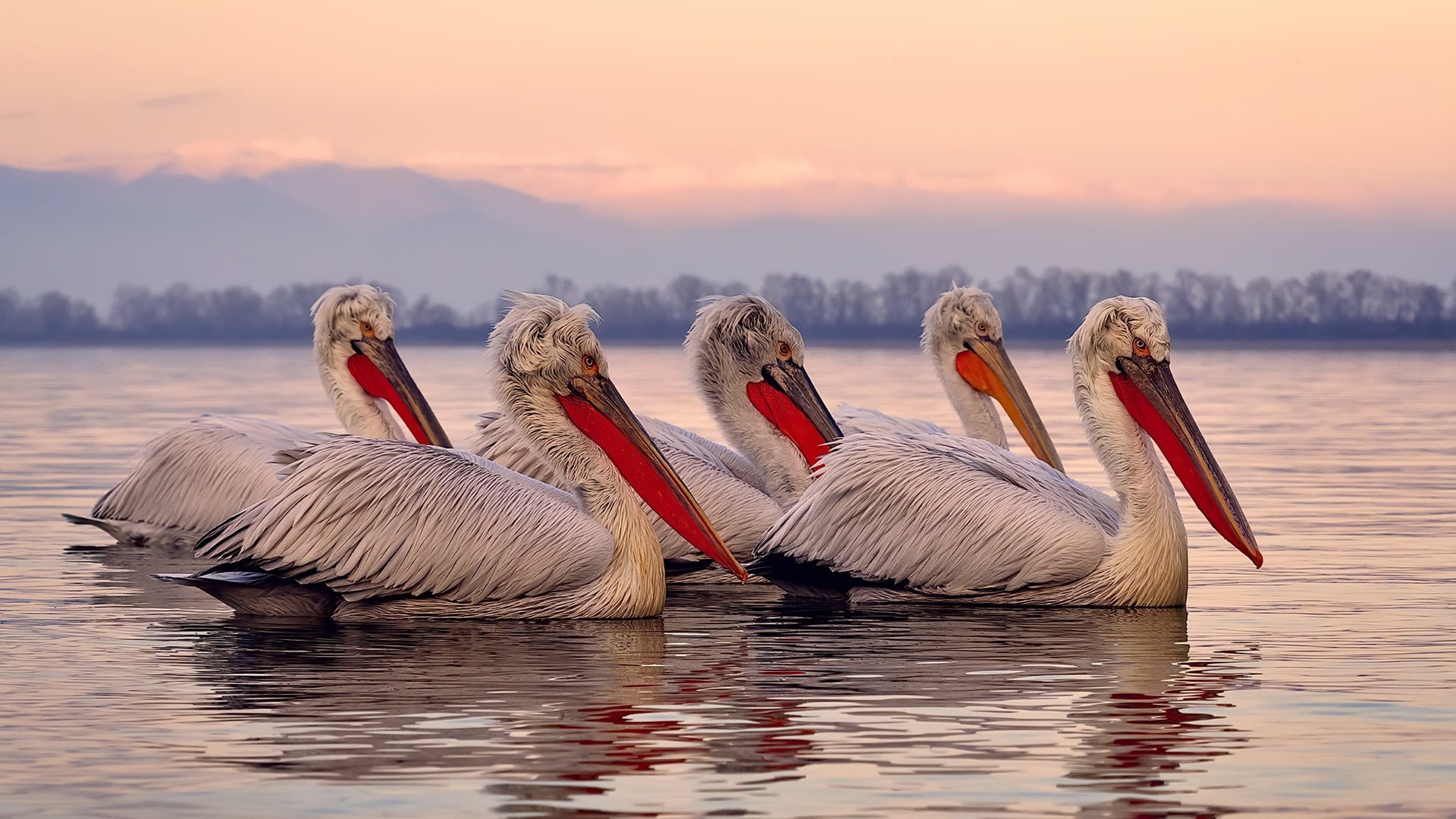 爱游戏官网-斯通斯破茧成蝶，巴西足球交响乐中奏响的个人史诗