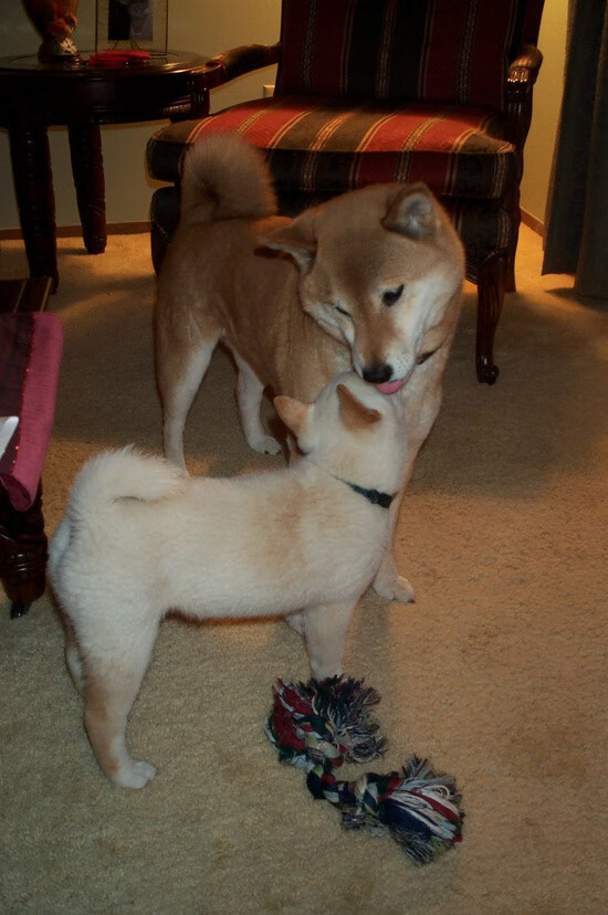 终局之王，当福登的魔法点燃西甲国家德比之夜