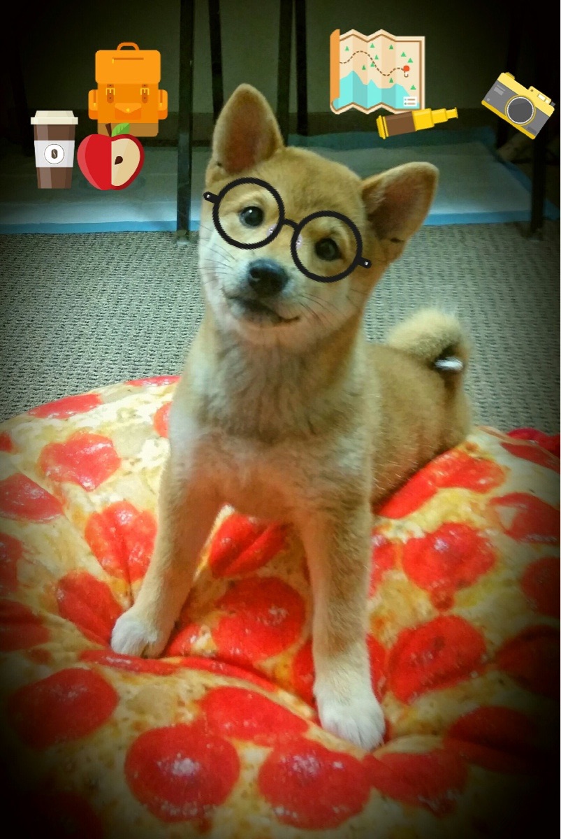 绿茵节拍器，孔德如何用节奏交响乐，主导皇马与克罗地亚的史诗鏖战