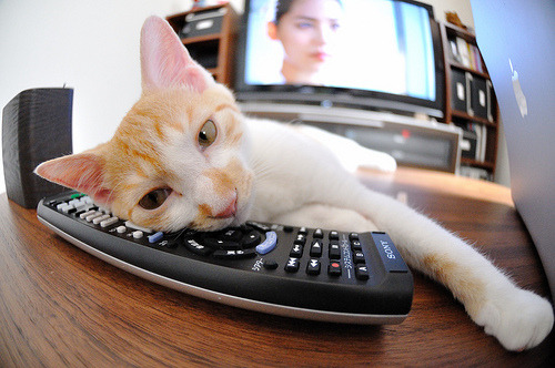 拉梅洛·鲍尔40分全能秀 爵士三节闪电战击沉公牛