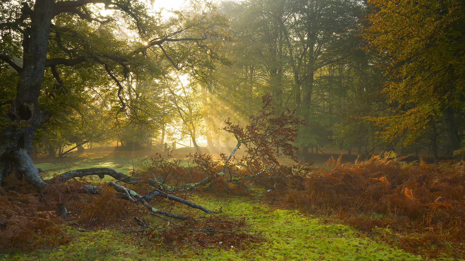 跨界热身，当世界杯东道主遇上NBA风暴