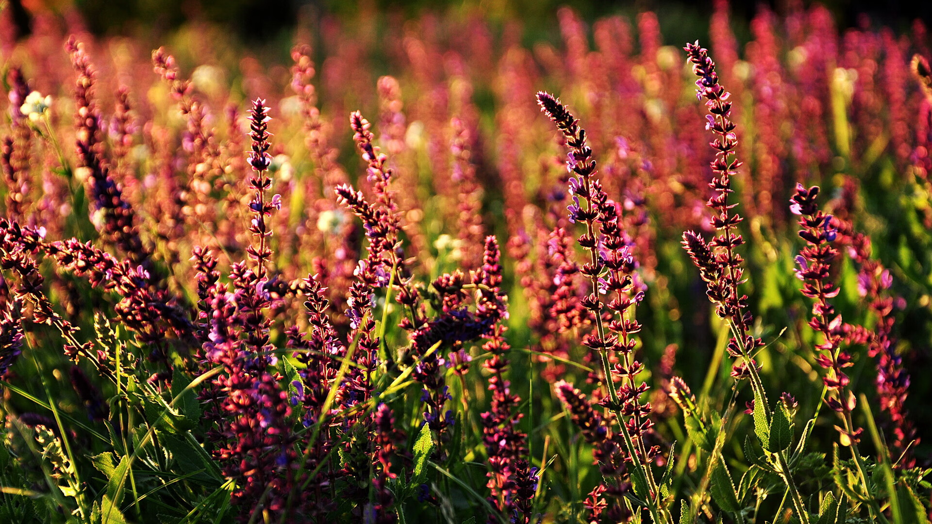 唯一之战，班凯罗如何用47分钟重新定义胜利