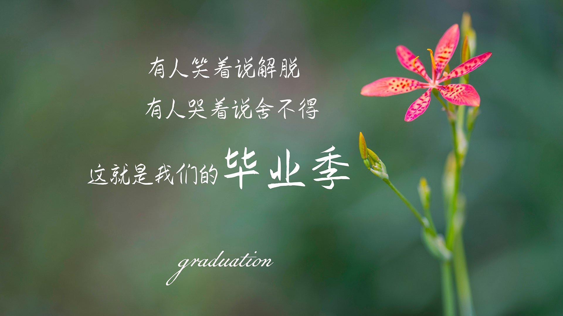 爱游戏官方-新王登基的轰鸣，班凯罗存在感拉满，马刺于无声处听惊雷，完胜喧嚣湖人