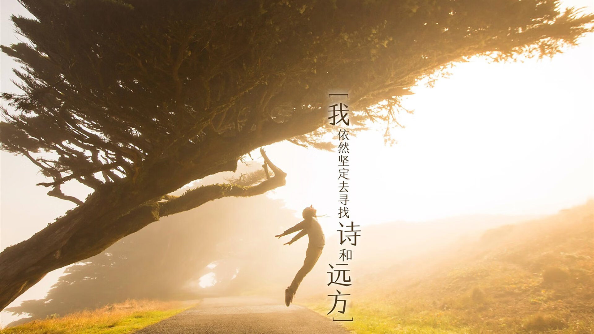 冷风过境,2026世界杯D组,罗马尼亚横扫葡萄牙,维尼修斯独木难支