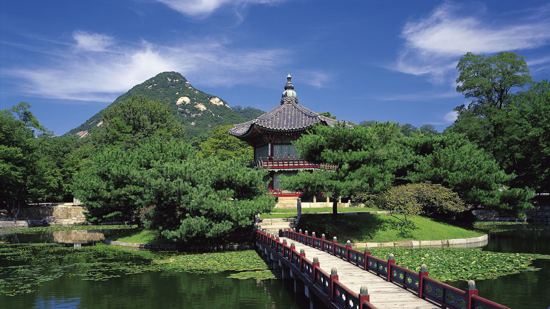 蓝黄风暴席卷G组,挪威铁骑碾压印度,坎塞洛独舞定义2026世界杯唯一经典